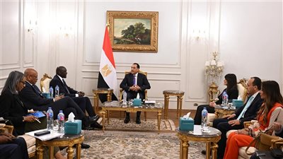 رئيس الوزراء يلتقي الرئيس التنفيذي لمؤسسة التمويل الدولية