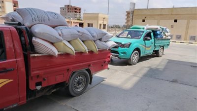 توريد أكثر من 310  ألف طن قمح لشةن وصوامع البحيرة منذ بداية الموسم