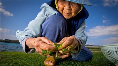 كيف تعيش عمرًا أطول؟.. 5 أسرار من سكان المناطق الزرقاء