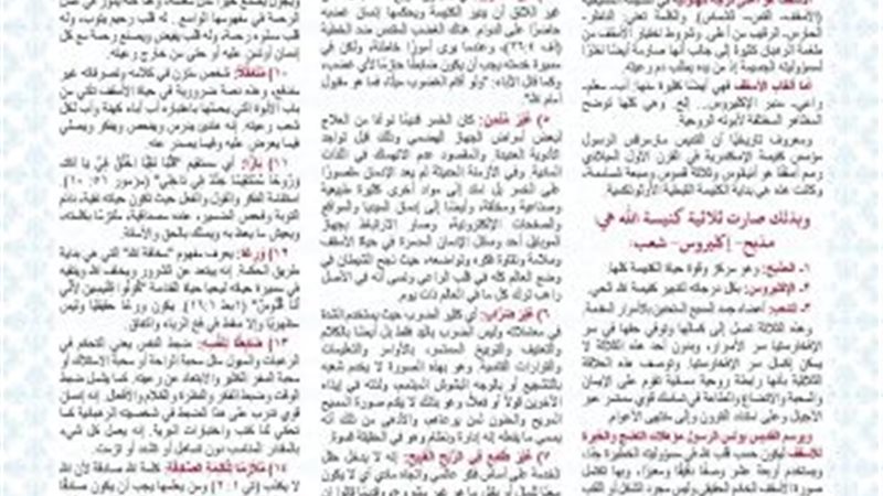 مقال قداسة البابا