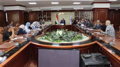 محافظ بني سويف: توريد 280 ألف طن قمح للصوامع والشون منذ بداية الموسم