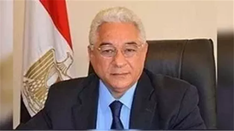 السفير علي الحفني