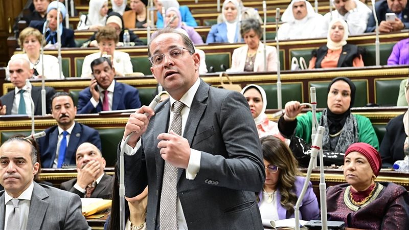أحمد كجوك وزير المالية