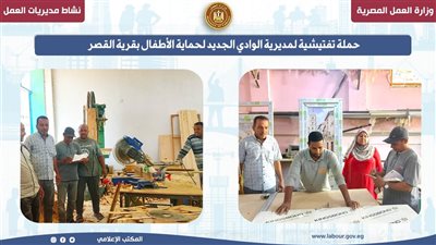 مديرية عمل الوادي الجديد تنظم حملة تفتيشية لحماية الأطفال بقرية القصر