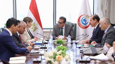 الأمم المتحدة تثمّن جهود مصر الرائدة في مجالات الصحة والأمن الغذائي والمناخ