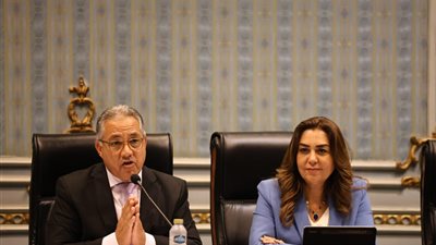 وزيرة التنمية المحلية تستعرض جهود الوزارة لتنفيذ المنظومة المتكاملة للمخلفات