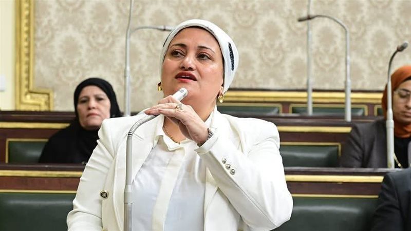 النائبة سناء السعيد