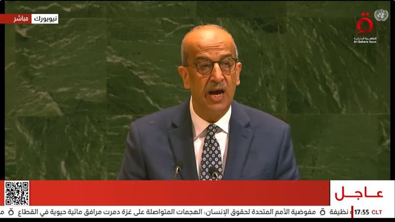 السفير أسامة عبد