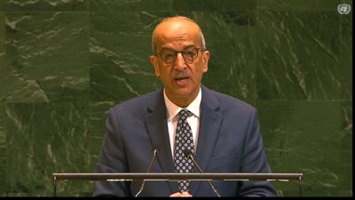  ننشر نص بيان مصر  في جلسة الجمعية العامة للأمم المتحدة