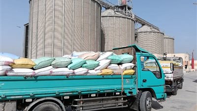 شون وصوامع الشرقية تستقبل 597 ألف طن قمح من بداية الموسم حتى الآن