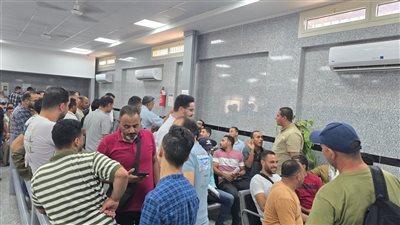 290 دينار شهريا.. العمل: بدأ اختبارات المُتقدمين للعمل في مجال الدواجن بالأردن