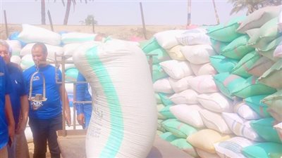 محافظ أسيوط: توريد 182 ألف طن من القمح حتى الآن للصوامع والشون  