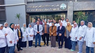 الزراعة تعلن فحص أكثر من 1.3 مليون طن بطاطس مائدة معدة للتصدير إلى الخارج