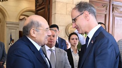 مصر وصربيا تعززان التعاون السياسي والاقتصادي خلال لقاء بمجلس الشيوخ