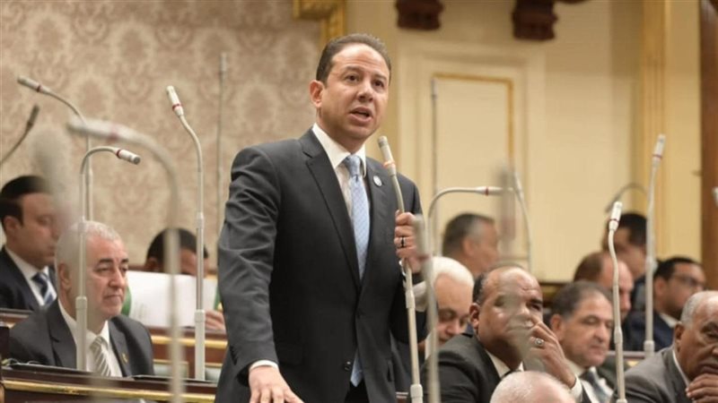  النائب حسن عمار