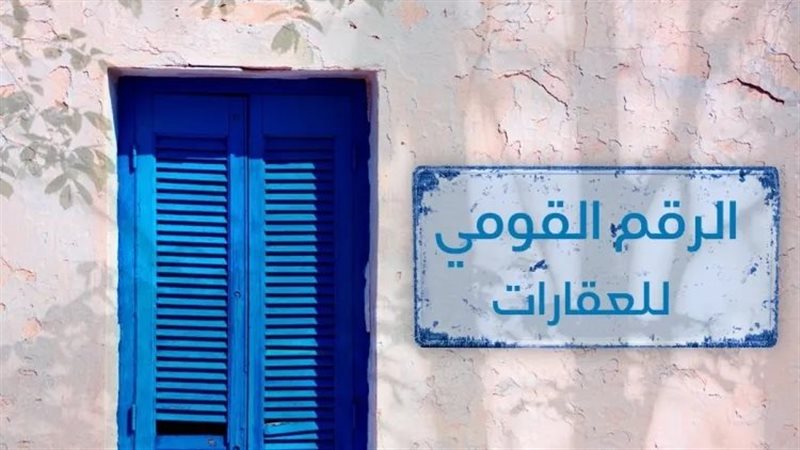 قاعدة بيانات الرقم