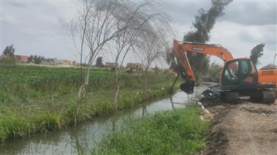 وزارة الزراعة: إزالة 71 حالة تعدي وتنفيذ 10 أنشطة إرشادية متنوعة