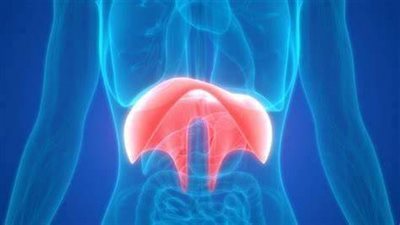 تغذيتك مع فتق الحجاب الحاجز.. ماذا تأكل؟ وما الأطعمة التي عليك تجنّبها؟