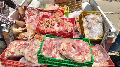 178 كيلو قطاع دواجن فاسدة غير صالحة للاستهلاك الآدمي بالفيوم  