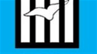 العربية لحقوق الإنسان: 32 مراقبا دوليا يشاركون في متابعة انتخابات الشيوخ 