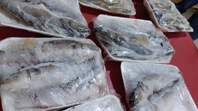 حملات تفتيشية مكثفة على محلات اللحوم والأسواق لحماية صحة المواطنين بالسويس