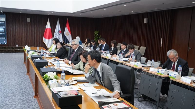 الجامعة المصرية اليابانية