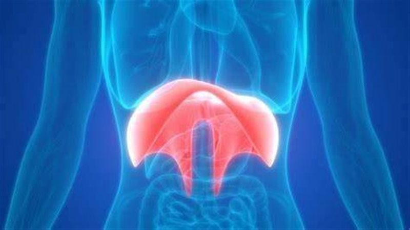  فتق الحجاب الحاجز