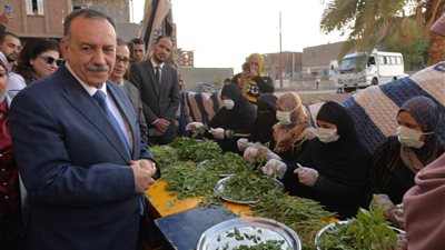 محافظ أسيوط يتفقد مشروعات التكتلات الاقتصادية بمركز أبنوب ويؤكد دعم الدولة لتط