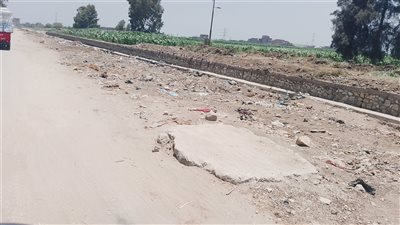 طريق جمجرة الشقر بالقليوبية.. إهمال يهدد الأرواح ويعرقل تصدير المحاصيل