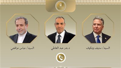 في اتصال مع ويتكوف وعراقجي..وزير الخارجية يجدد أهمية استنفاذ المسار الدبلوماسي