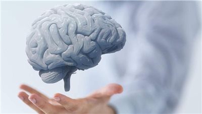 دراسة تحذر: ساعات العمل الطويلة تضر الدماغ والتركيز        