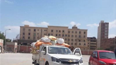 توريد أكثر من 598 ألف طن قمح منذ بدء الموسم إلى صوامع الشرقية 