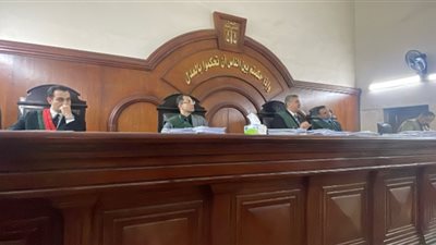 إحالة 3 متهمين بقتل شاب أخذا بالثأر بالبحيرة لفضيلة مفتي الجمهورية