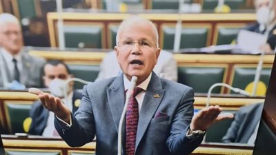 مع التحديات الاقتصادية.. برلماني يكشف عن 8 حلول جديدة لدعم أصحاب المعاشات