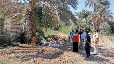 نائب رئيس مركز أبشواى: رصد 8 حالات متغيرات غير قانونية واتخاذ الإجراءات 