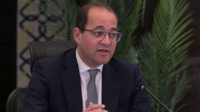 وزير المالية: نستهدف توسيع القاعدة الضريبية بتيسيرات جاذبة للمولين 