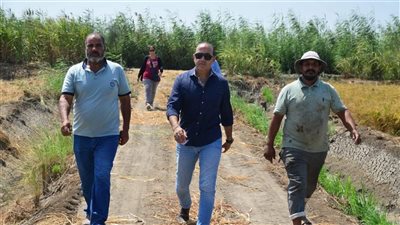 رئيس مدينة بورفؤاد: ارتفاع نسبة استصلاح الأراضي بسهل الطينة