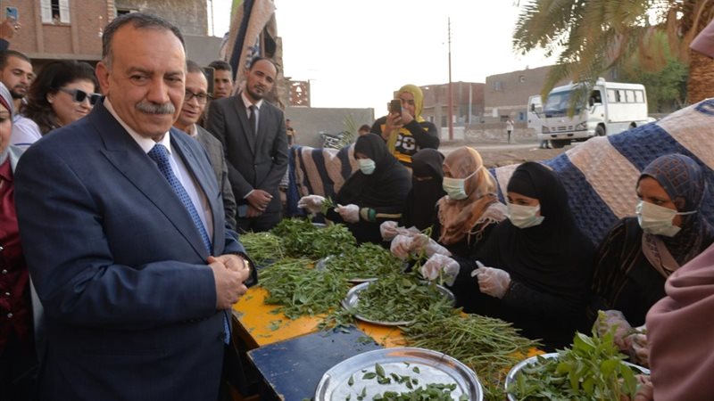 محافظ اسيوط