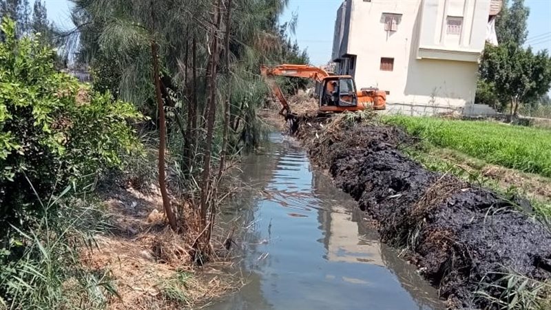 استصلاح الأراضي الزراعية