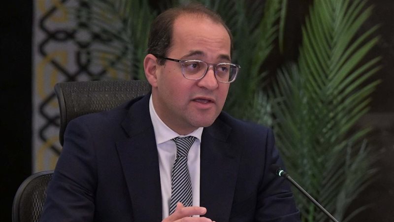 وزير المالية
