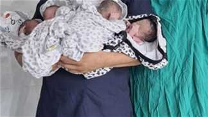 الأطفال بعد الولادة