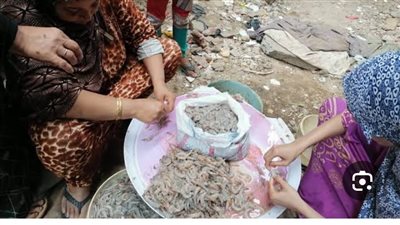 من مناشر الخشب لقشور الجمبري.. حكاية أم يوسف مع الشقاء بقرية أبو طبل بدمياط