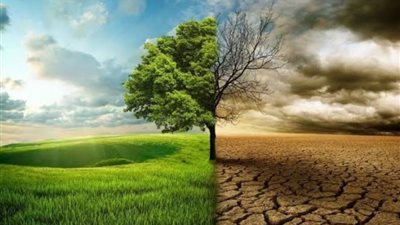 مصر في المرتبة 22 من بين 67 دولة في مؤشر أداء تغير المناخ عام 2024  