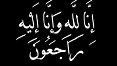 محمد مصطفى لطفي رئيس مجلس إدارة مصانع 