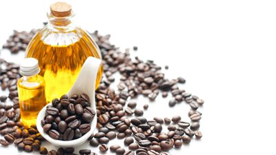 مصر تستورد قهوة وزيوت عباد شمس بقيمة مليار دولار خلال 12 شهرًا