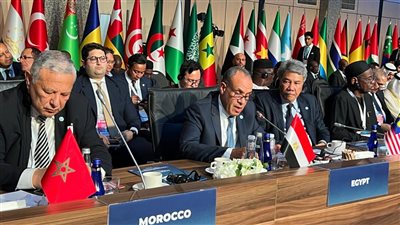 النص الكامل لكلمة وزير الخارجية في الجلسة الطارئة بشأن حرب إيران وإسرائيل