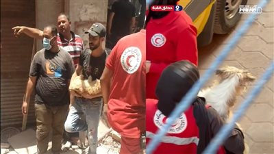 «قطة» السيدة زينب و«كلب» حدائق القبة.. الهلال الأحمر الرحمة في أبهى صورها