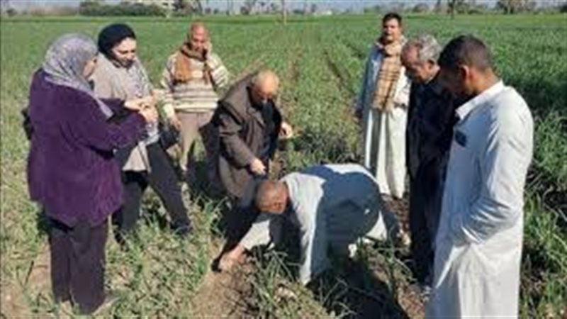 جولات زراعية 