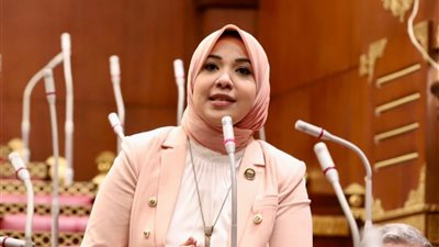 النائبة دينا هلالي: إدراج تعليم الإسعافات الأولية بالمدارس يغرس ثقافة السلامة 