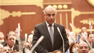 برلمانى: التعليم المصري في مرحلة المخاض ويواجه العديد من التحديات